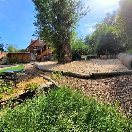 Pferdehof Am Burgsberg, Ferienzimmer, Monteurzimmer Seifhennersdorf 외부 사진
